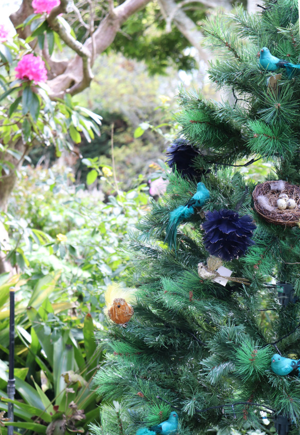 Decorated Christmas Tree in the Highwic Garden.
