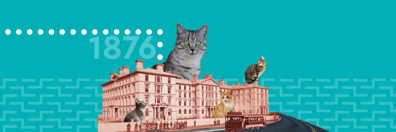 Cats watch over old government buildings in a collage style image.