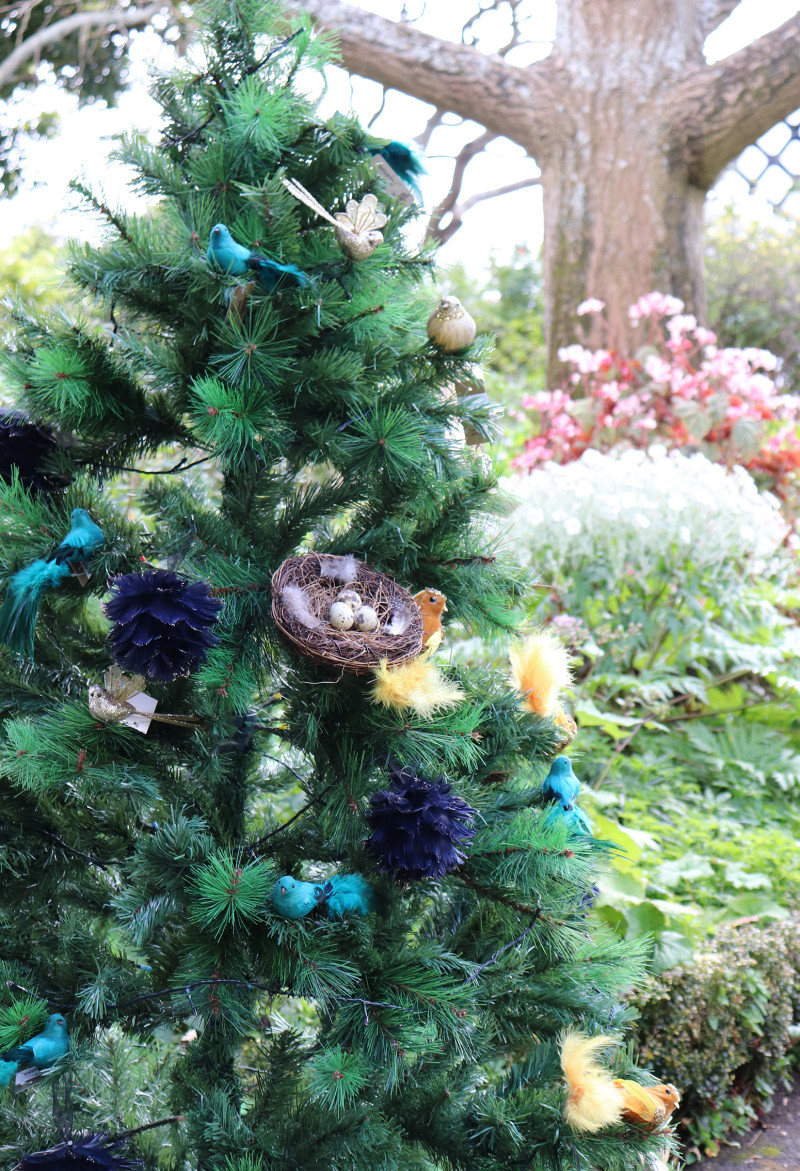 Decorated Christmas Tree in the Highwic Garden.