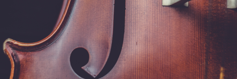 Close up of the f-hole and bridge of a cello. 